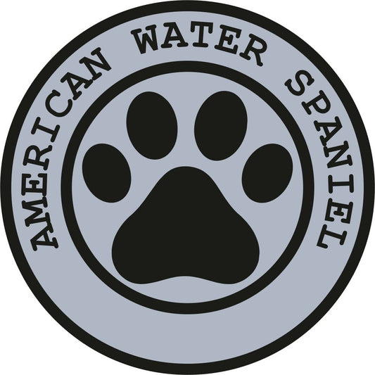American Water Spaniel
