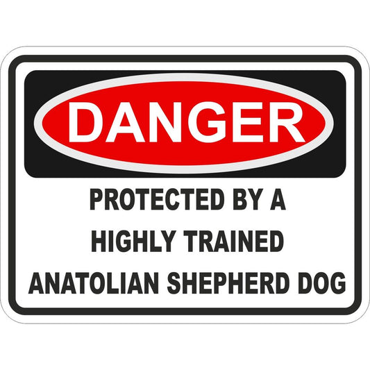 Anatolian Shepherd Dog