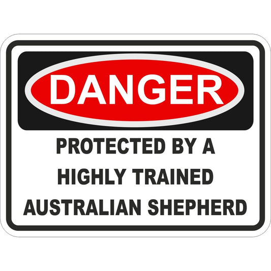 Australian Shepherd