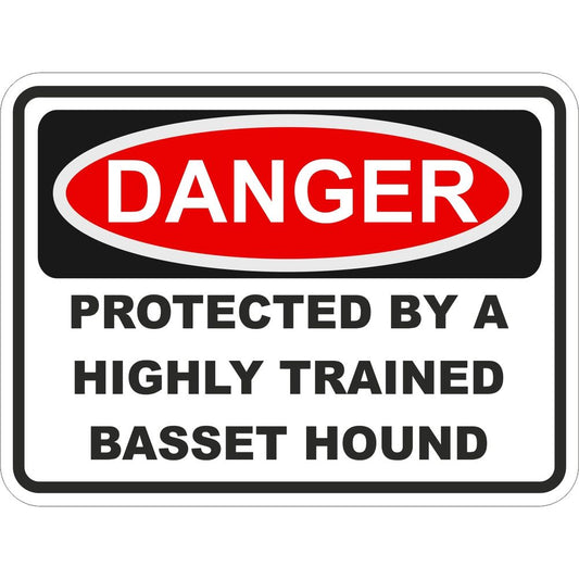 Basset Hound