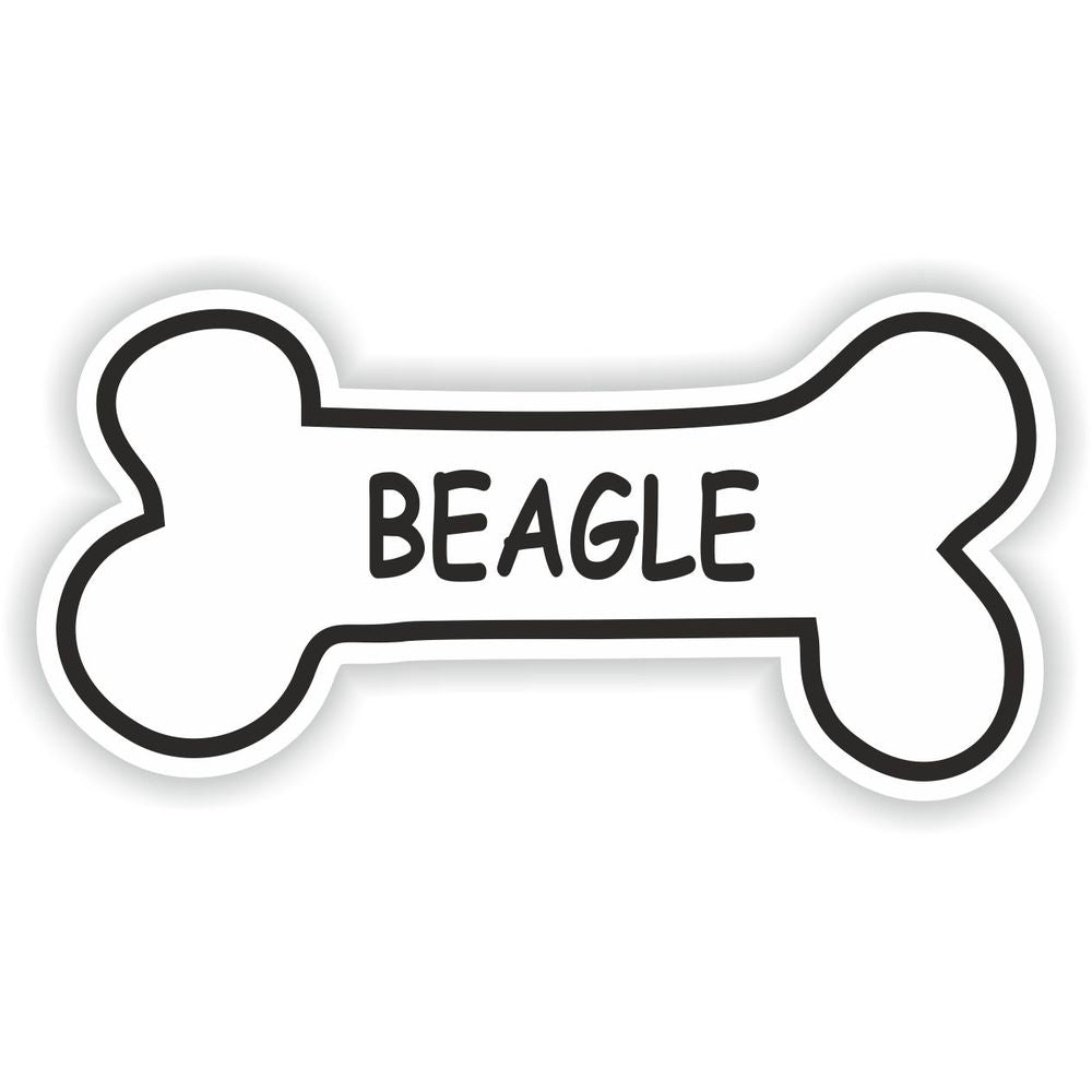 Beagle