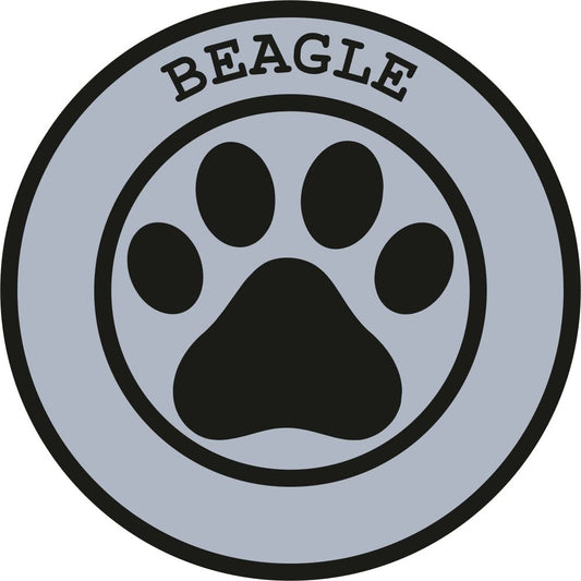 Beagle