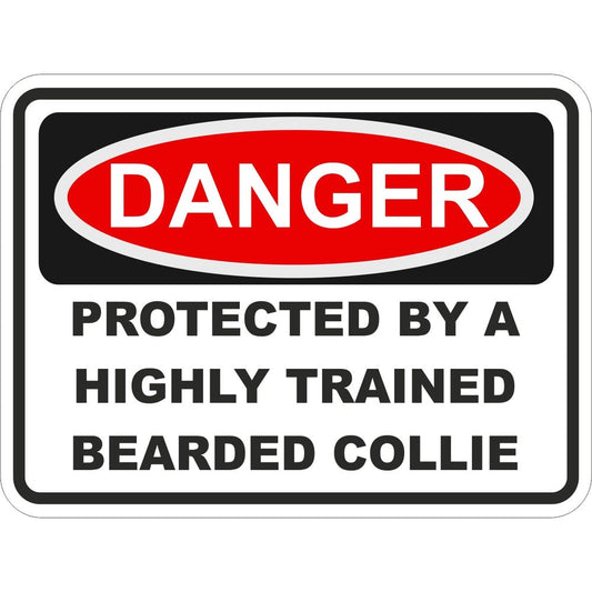 Bearded Collie