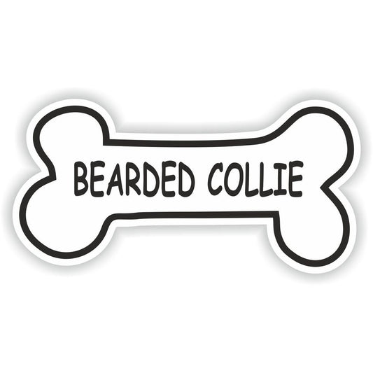Bearded Collie