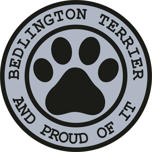 Bedlington Terrier Proud
