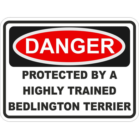 Bedlington Terrier