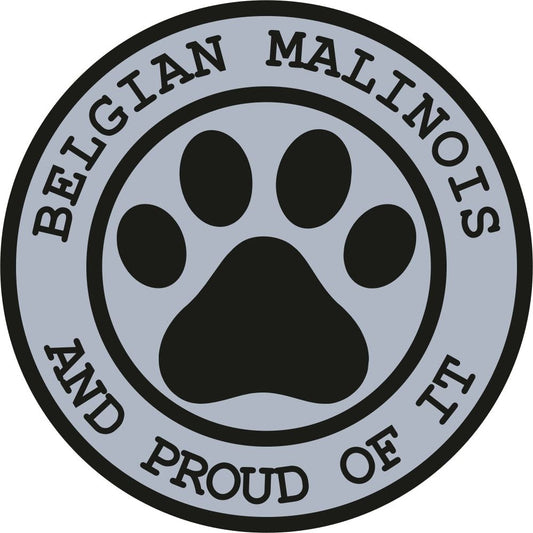 Belgian Malinois Proud
