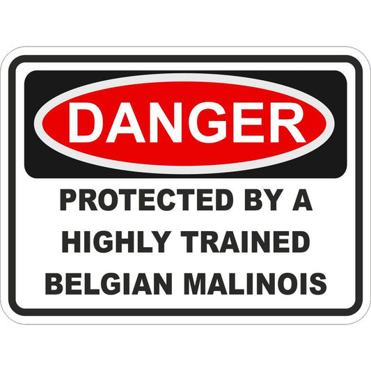 Belgian Malinois