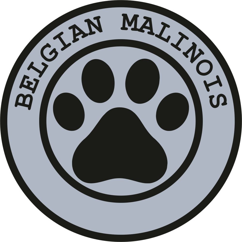 Belgian Malinois