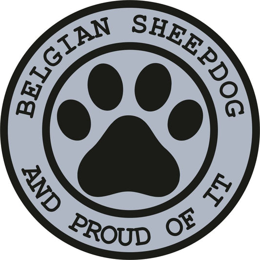 Belgian Sheepdog Proud