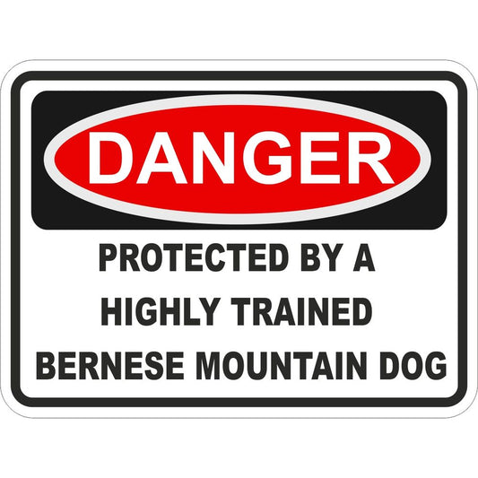 Bernese Mountain Dog