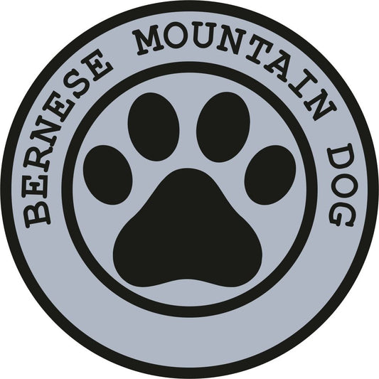 Bernese Mountain Dog