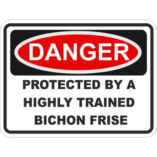 Bichon Frise