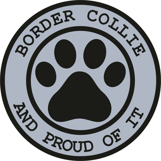 Border Collie Proud