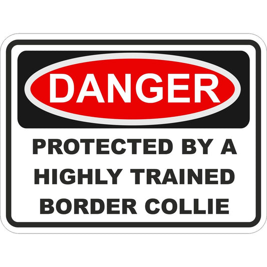 Border Collie