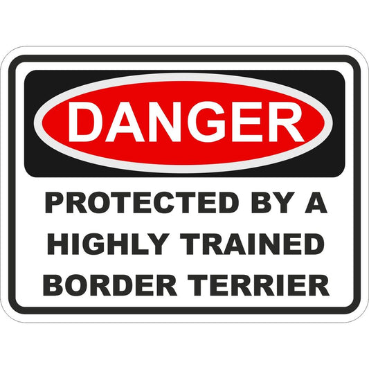 Border Terrier