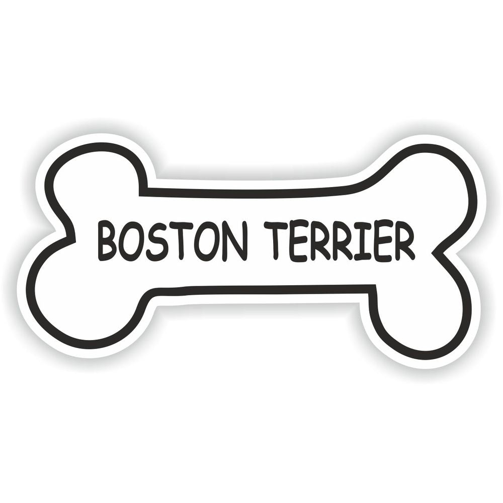 Boston Terrier