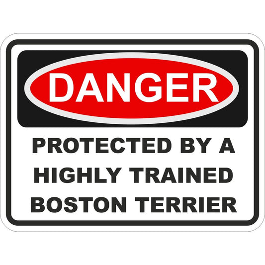 Boston Terrier
