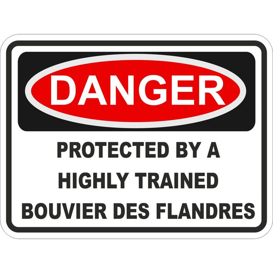 Bouvier Des Flandres