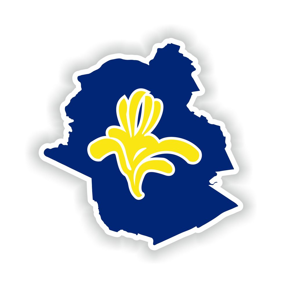 Bruxelles Brussel Map Flag
