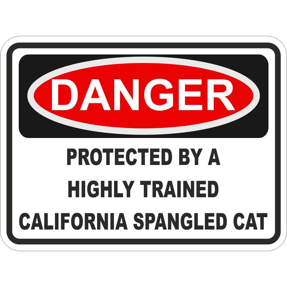 California Spangled Cat