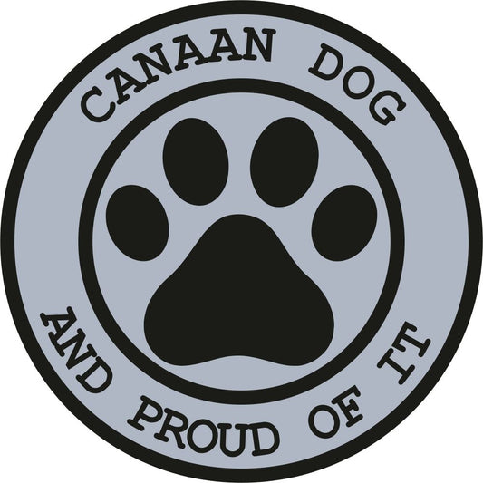 Canaan Dog Proud