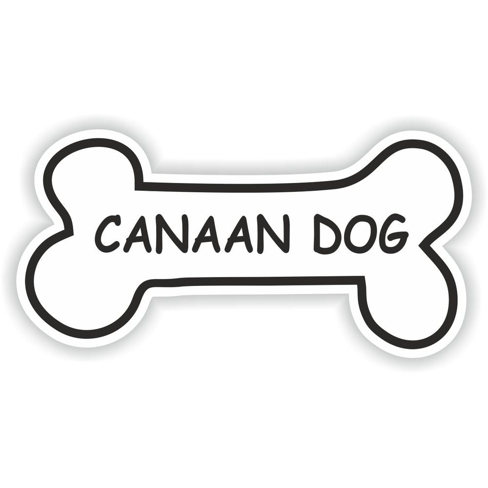 Canaan Dog