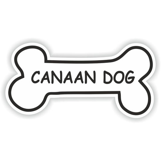 Canaan Dog