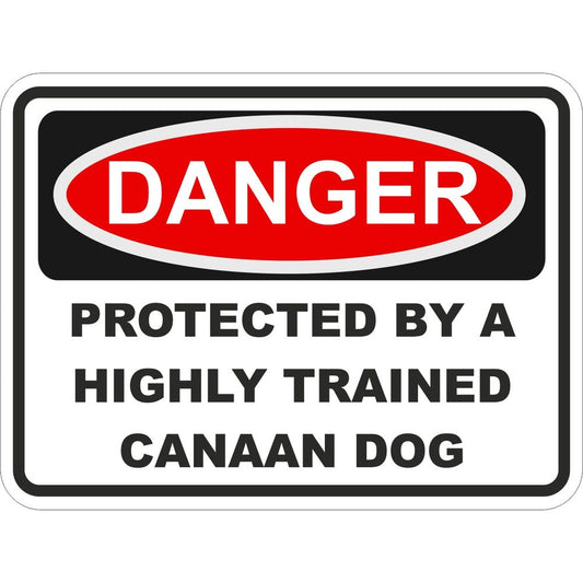 Canaan Dog