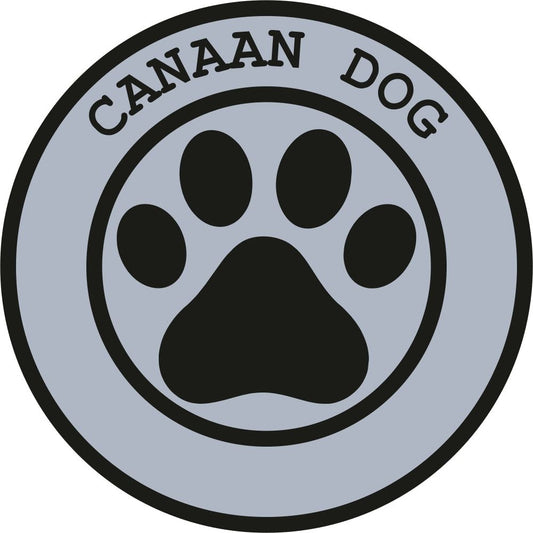 Canaan Dog