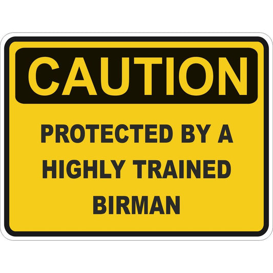 Caution Birman