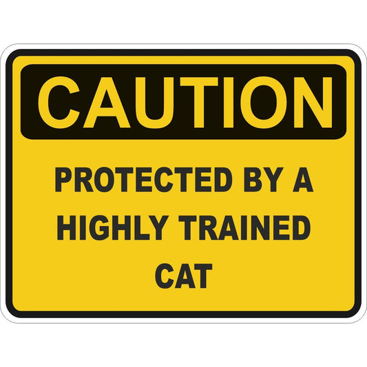 Caution Cat