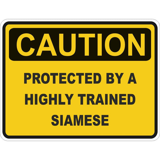 Caution Siamese