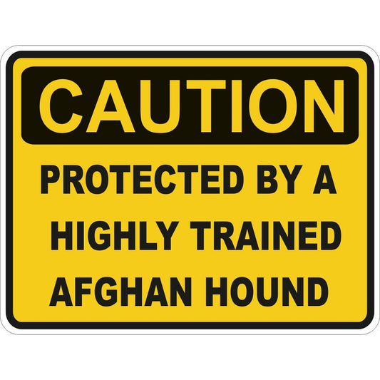 Caution Afghan Hound