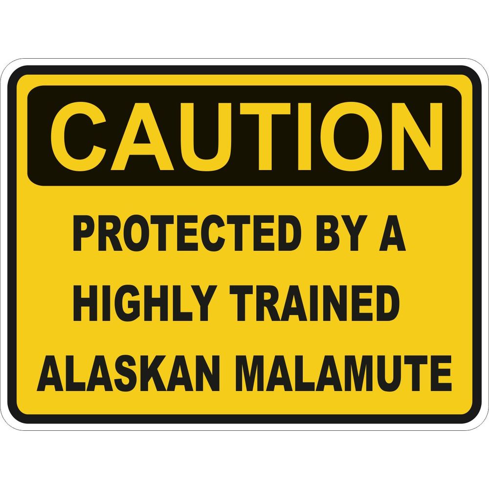 Caution Alaskan Malamute