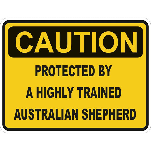 Caution Australian Shepherd
