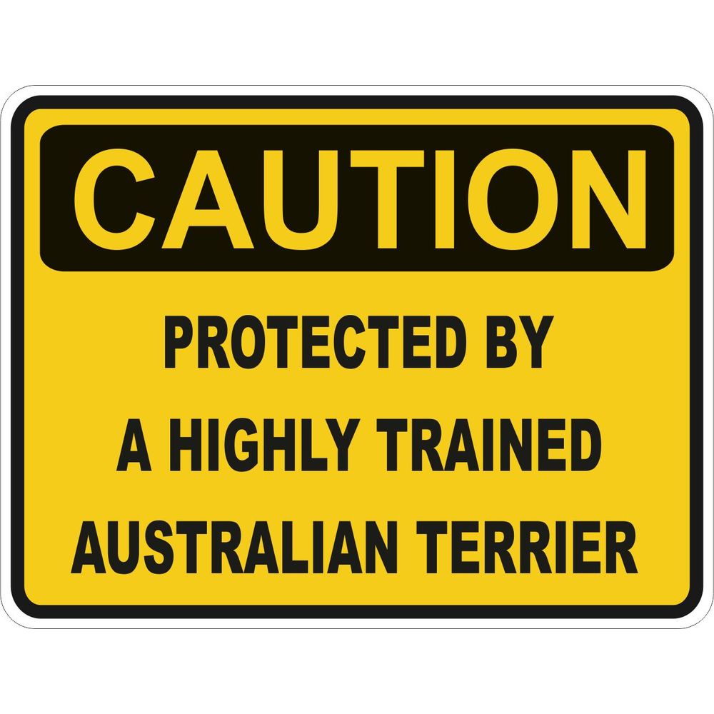 Caution Australian Terrier