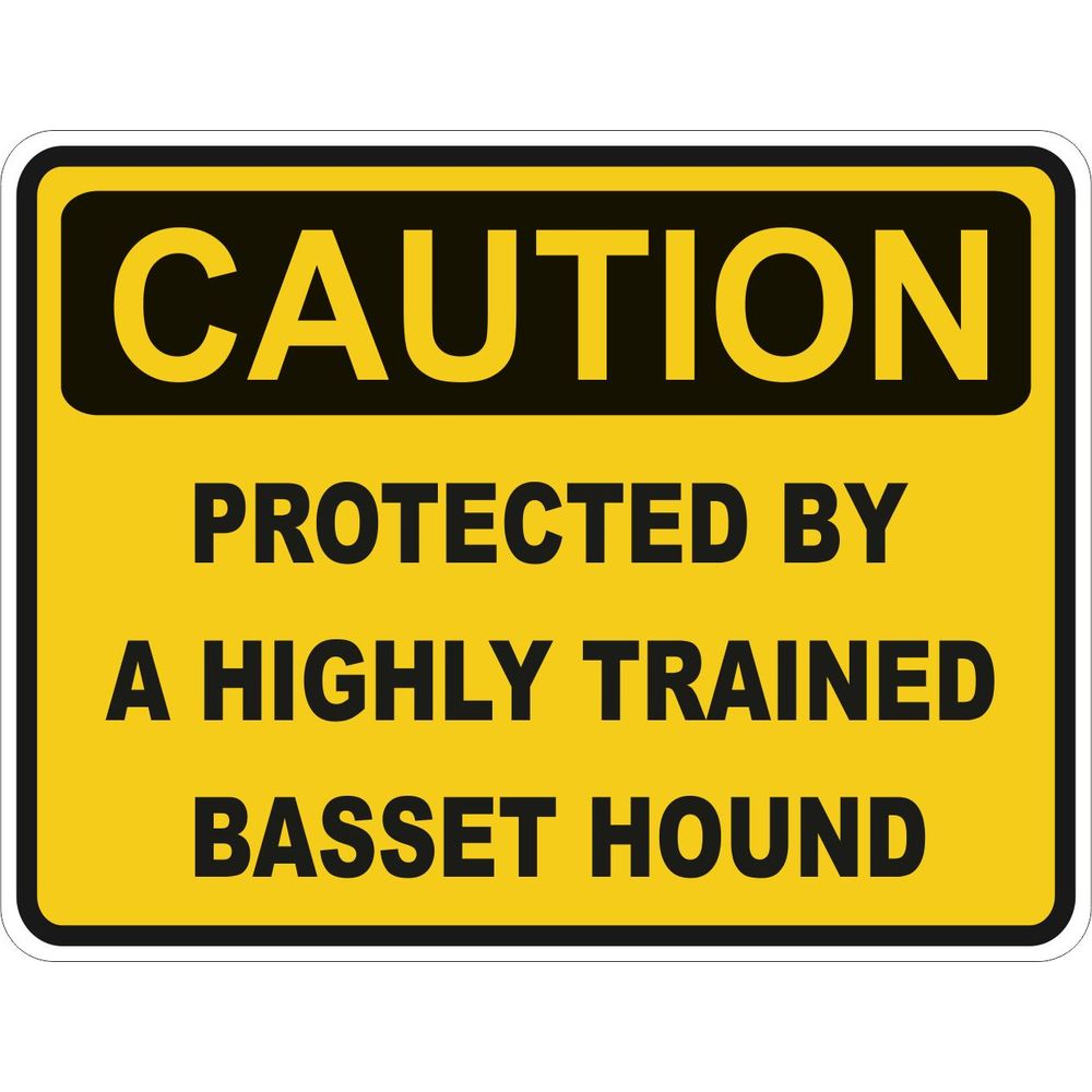 Caution Basset Hound