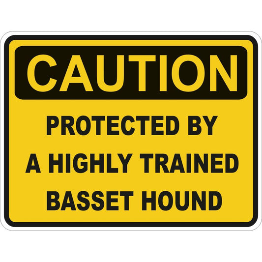 Caution Basset Hound