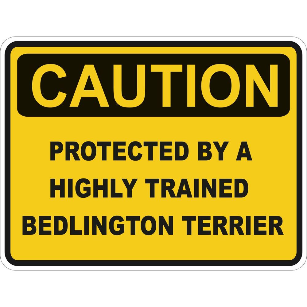 Caution Bedlington Terrier