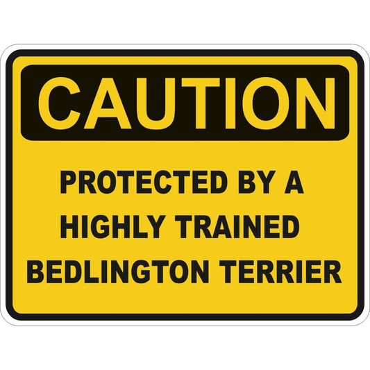 Caution Bedlington Terrier