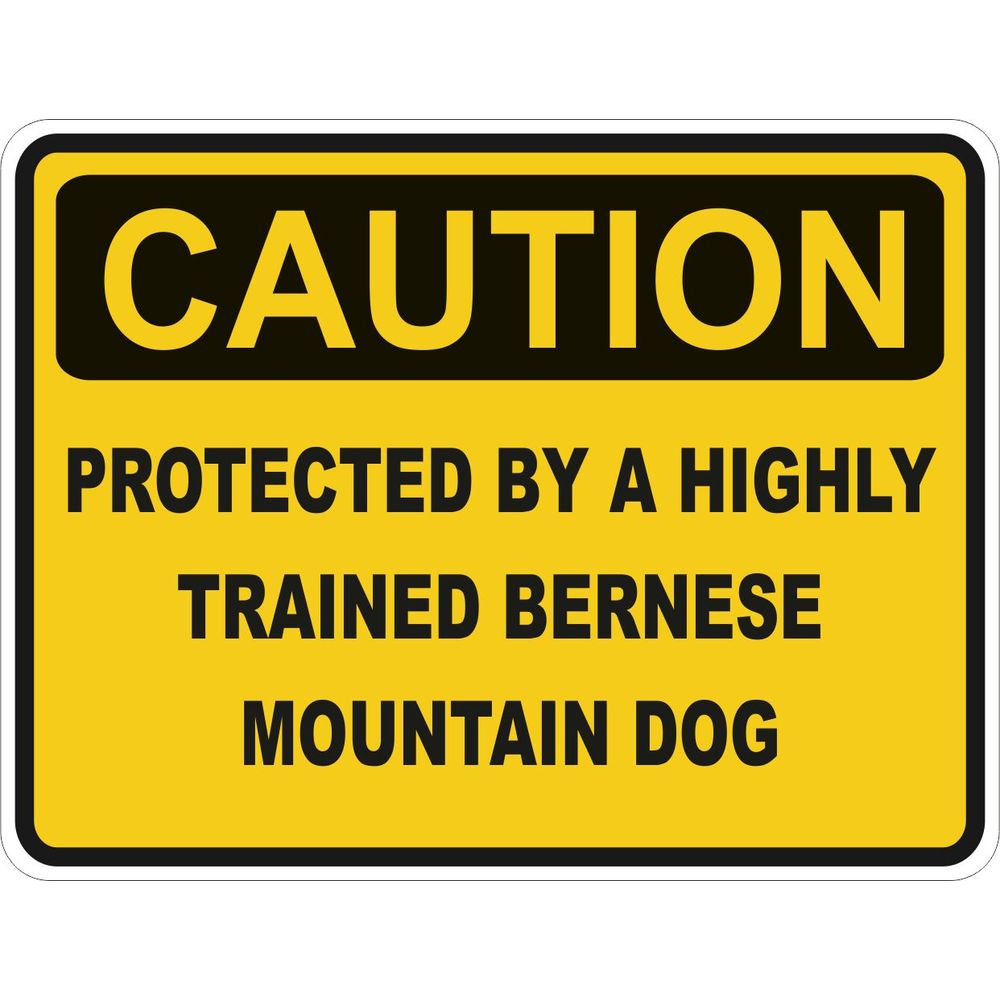 Caution Bernese Mountain Dog