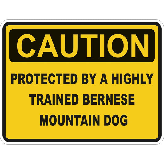 Caution Bernese Mountain Dog