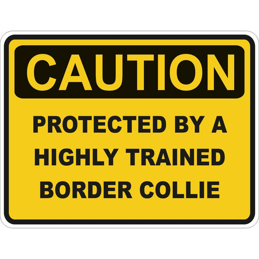 Caution Border Collie