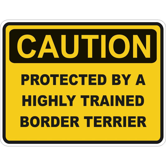 Caution Border Terrier