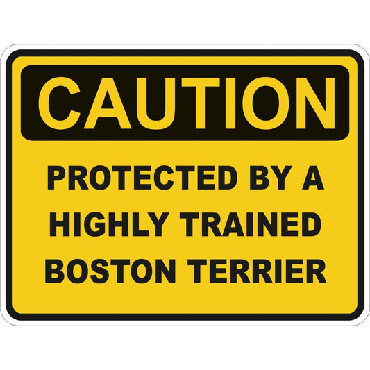 Caution Boston Terrier