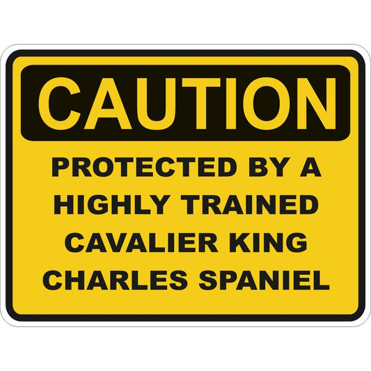 Caution Cavalier King Charles Spaniel