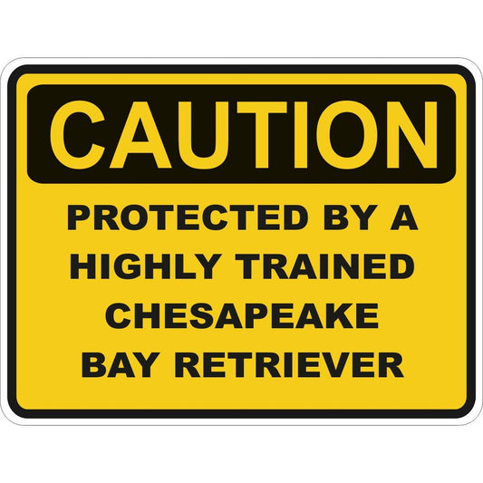 Caution Chesapeake Bay Retriever