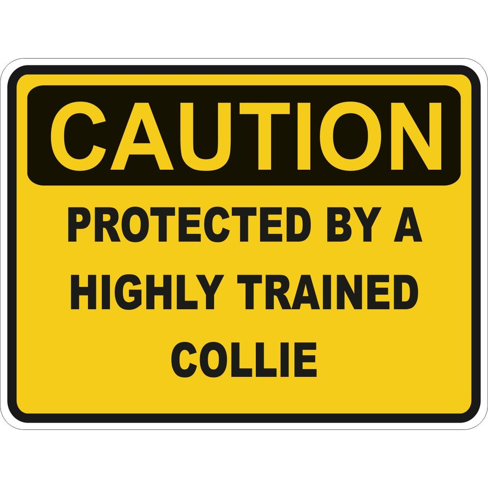 Caution Collie