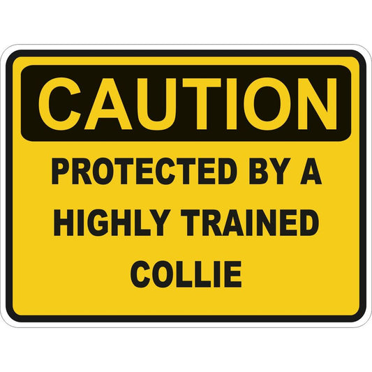 Caution Collie
